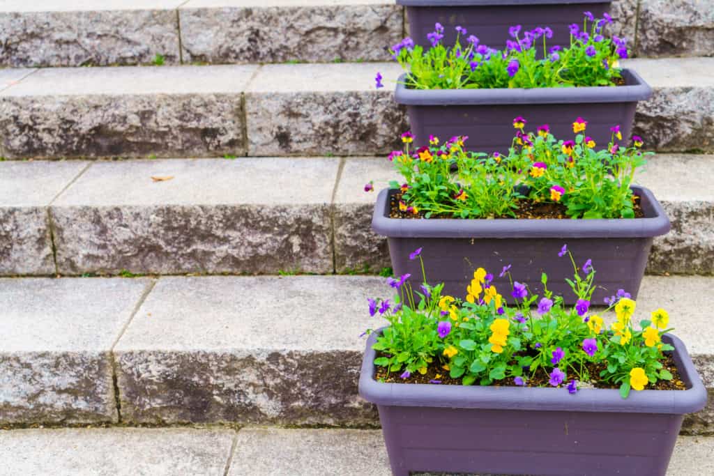 a picture of flower boxes for railing
