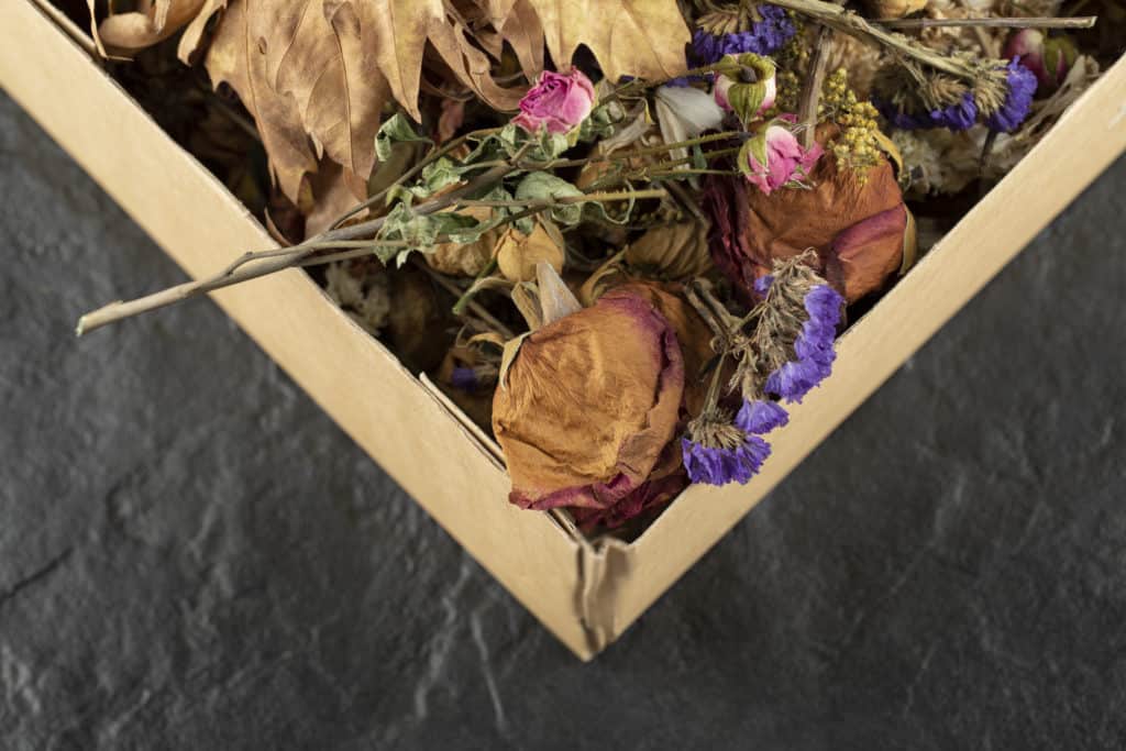 a picture of Dried Roses Shadow Box
