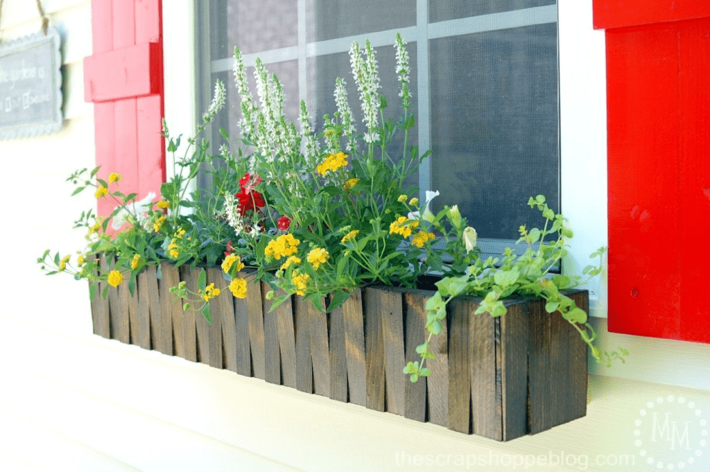 The Best Flowers for a Window Box in All Seasons