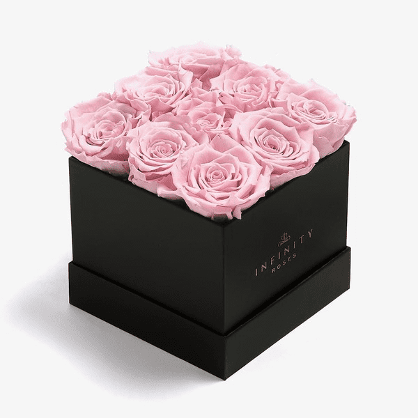 one year flowers in a box