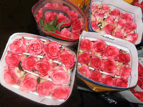 Boxes for Roses Wholesale